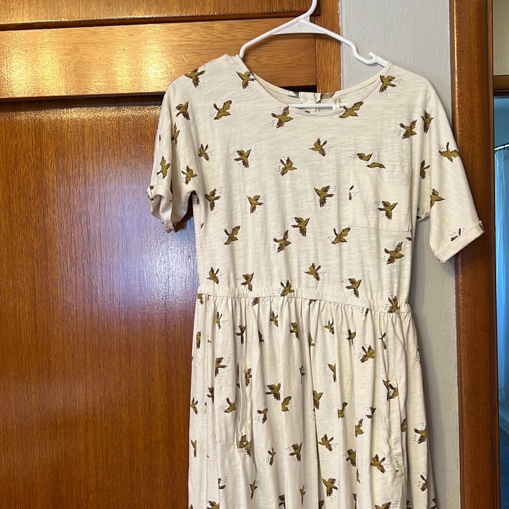 Rylee + Cru Cream Midi Dress with Olive Bird Print